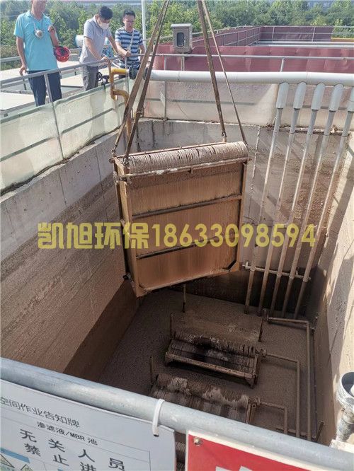 微信图片_2022070110262710.jpg
