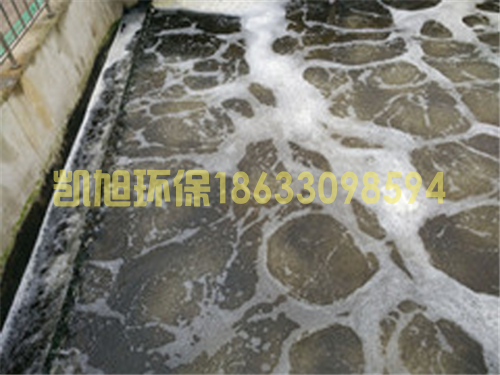 邢台养鸡屠宰废水.png